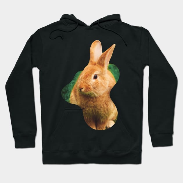 Easter Bunny with no eggs Hoodie by Arteria6e9Vena